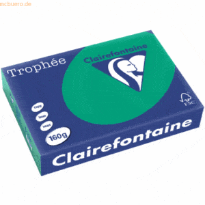 4 x Clairefontaine Kopierpapier Trophee A4 160g/qm VE=250 Blatt tannen
