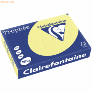 4 x Clairefontaine Kopierpapier Trophee A4 160g/qm VE=250 Blatt hellge