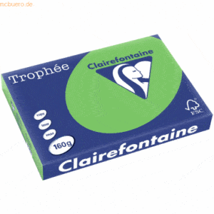 4 x Clairefontaine Kopierpapier Trophee A3 160g/qm VE=250 Blatt frühli
