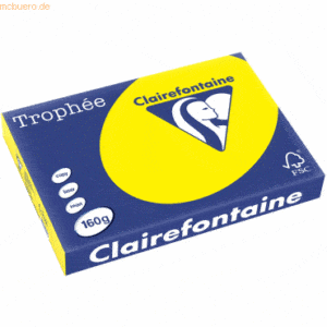 4 x Clairefontaine Kopierpapier Trophee A3 160g/qm VE=250 Blatt kanari