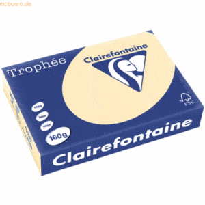 4 x Clairefontaine Kopierpapier Trophee A4 160g/qm VE=250 Blatt chamoi
