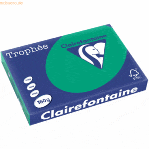 4 x Clairefontaine Kopierpapier Trophee A3 160g/qm VE=250 Blatt tannen