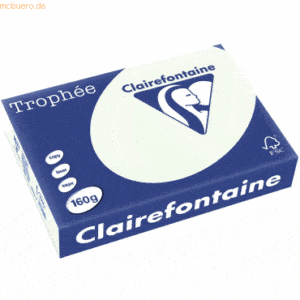 4 x Clairefontaine Kopierpapier Trophee A4 160g/qm VE=250 Blatt blaßgr