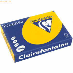 4 x Clairefontaine Kopierpapier Trophee A4 160g/qm VE=250 Blatt sonnen