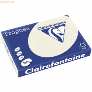 4 x Clairefontaine Kopierpapier Trophee A3 160g/qm VE=250 Blatt perlgr
