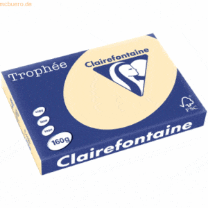 4 x Clairefontaine Kopierpapier Trophee A3 160g/qm VE=250 Blatt chamoi