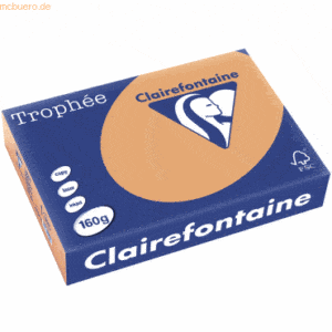 4 x Clairefontaine Kopierpapier Trophee A4 160g/qm VE=250 Blatt camel