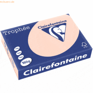 4 x Clairefontaine Kopierpapier Trophee A4 160g/qm VE=250 Blatt lachs