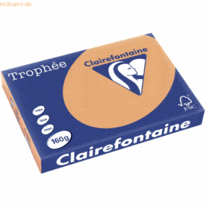 4 x Clairefontaine Kopierpapier Trophee A3 160g/qm VE=250 Blatt camel