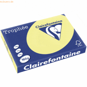 4 x Clairefontaine Kopierpapier Trophee A3 160g/qm VE=250 Blatt narzis