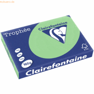 4 x Clairefontaine Kopierpapier Trophee A3 160g/qm VE=250 Blatt naturg