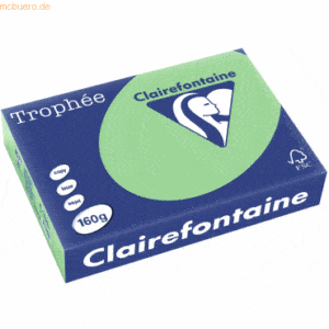4 x Clairefontaine Kopierpapier Trophee A4 160g/qm VE=250 Blatt naturg