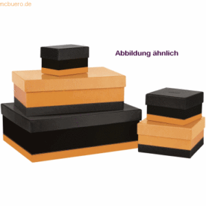 Rhodia Aufbewahrungsboxen Set mit 5 Stück orange/schwarz