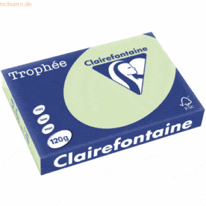 5 x Clairefontaine Kopierpapier Trophee A4 120g/qm VE=250 Blatt apfelg