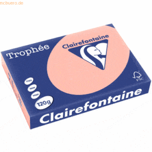 5 x Clairefontaine Kopierpapier Trophee A4 120g/qm VE=250 Blatt pfirsi