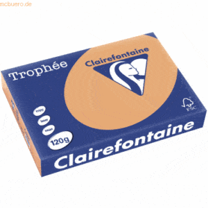 5 x Clairefontaine Kopierpapier Trophee A4 120g/qm VE=250 Blatt camel