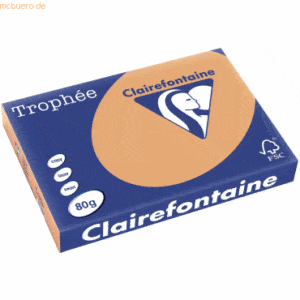 5 x Clairefontaine Kopierpapier Trophee A3 80g/qm VE=500 Blatt camel