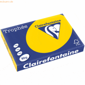 5 x Clairefontaine Kopierpapier Trophee A3 80g/qm VE=500 Blatt goldgel