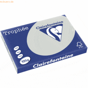 5 x Clairefontaine Kopierpapier Trophee A3 120g/qm VE=250 Blatt stahlg