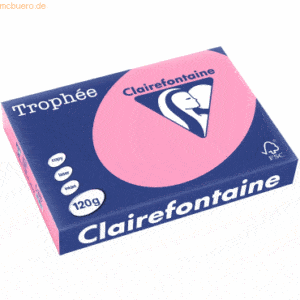5 x Clairefontaine Kopierpapier Trophee A4 120g/qm VE=250 Blatt hecken