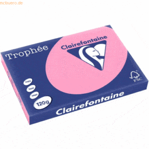 5 x Clairefontaine Kopierpapier Trophee A3 120g/qm VE=250 Blatt hecken
