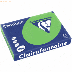 5 x Clairefontaine Kopierpapier Trophee A4 120g/qm VE=250 Blatt maigrü