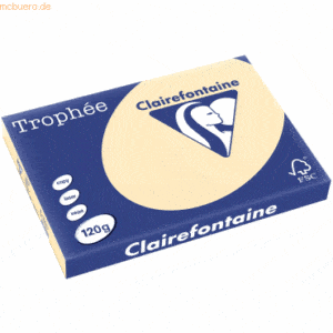 5 x Clairefontaine Kopierpapier Trophee A3 120g/qm VE=250 Blatt chamoi