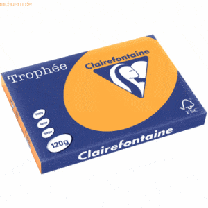 5 x Clairefontaine Kopierpapier Trophee A3 120g/qm VE=250 Blatt mandar