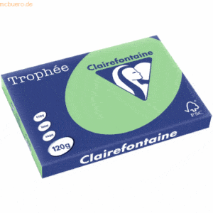 Clairefontaine Kopierpapier Trophee A3 120g/qm VE=250 Blatt naturgrün