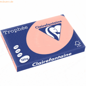 5 x Clairefontaine Kopierpapier Trophee A3 120g/qm VE=250 Blatt pfirsi