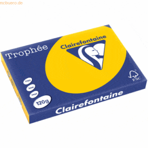 5 x Clairefontaine Kopierpapier Trophee A3 120g/qm VE=250 Blatt sonnen