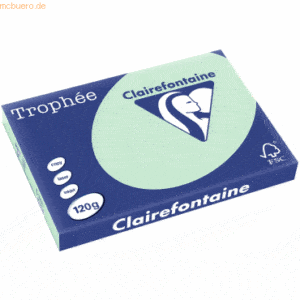 5 x Clairefontaine Kopierpapier Trophee A3 120g/qm VE=250 Blatt hellgr