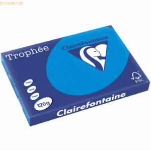 5 x Clairefontaine Kopierpapier Trophee A3 120g/qm VE=250 Blatt karibi
