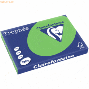 5 x Clairefontaine Kopierpapier Trophee A3 120g/qm VE=250 Blatt frühli