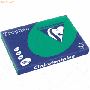 5 x Clairefontaine Kopierpapier Trophee A3 120g/qm VE=250 Blatt tannen