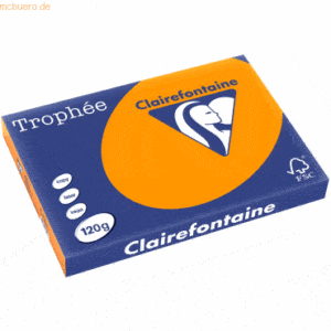 5 x Clairefontaine Kopierpapier Trophee A3 120g/qm VE=250 Blatt intens