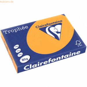 5 x Clairefontaine Kopierpapier Trophee A3 80g/qm VE=500 Blatt mandari
