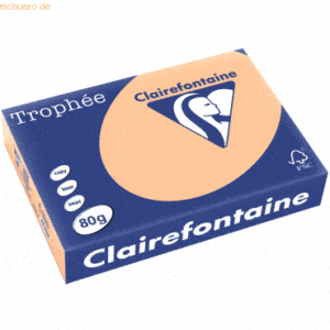 Clairefontaine Kopierpapier Trophee A4 80g/qm VE=500 Blatt aprikose