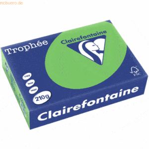 4 x Clairefontaine Kopierpapier Trophee A4 210g/qm VE=250 Blatt frühli