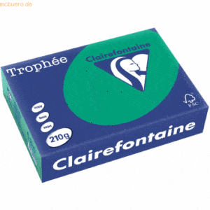 4 x Clairefontaine Kopierpapier Trophee A4 210g/qm VE=250 Blatt tannen