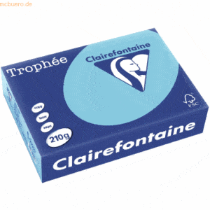 4 x Clairefontaine Kopierpapier Trophee A4 210g/qm VE=250 Blatt blau