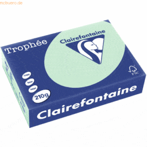 4 x Clairefontaine Kopierpapier Trophee A4 210g/qm VE=250 Blatt hellgr