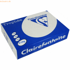 4 x Clairefontaine Kopierpapier Trophee A4 210g/qm VE=250 Blatt stahlg