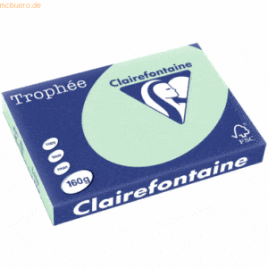 4 x Clairefontaine Kopierpapier Trophee A3 160g/qm VE=250 Blatt hellgr