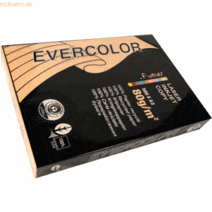 5 x Clairefontaine Multifunktionspapier evercolor RC A3 420x297mm 80g/