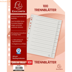 Exacompta Trennblatt A4 Karton 230g/qm grau