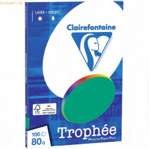10 x Clairefontaine Kopierpapier Trophee A4 80g/qm 100 Blatt tannengrü