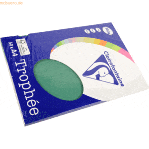 10 x Clairefontaine Kopierpapier Trophee A4 160g/qm 50 Blatt tannengrü