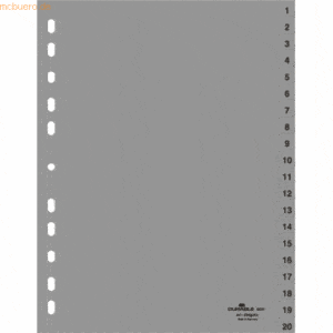 20 x Durable Register A4 1-20 PP grau