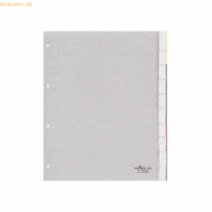 Durable Register A4+ blanko PP 10-teilig transparent